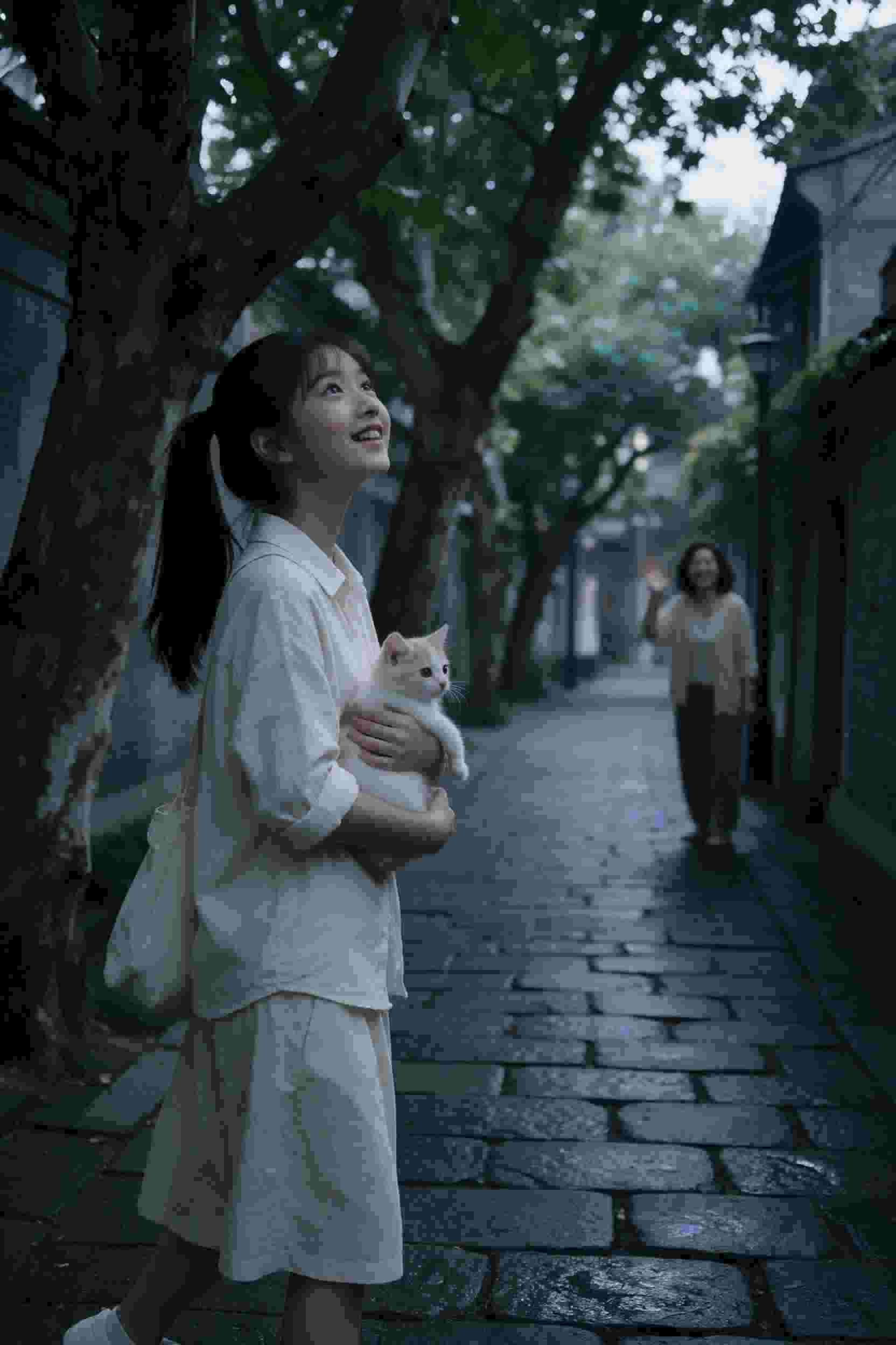 绝代风华
